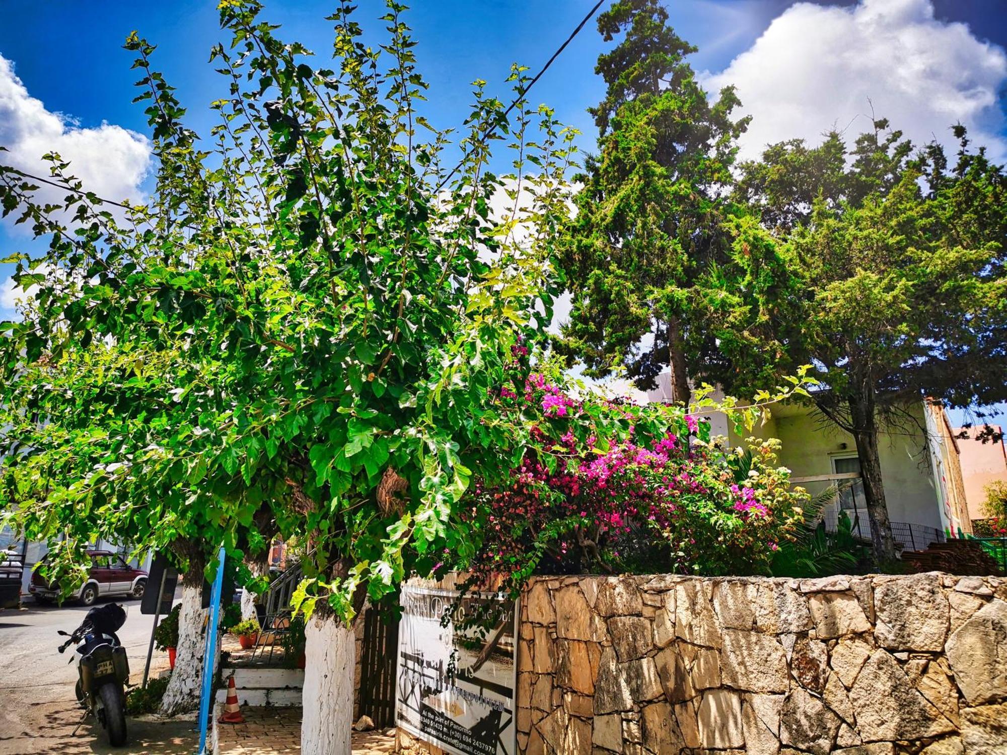 Ble Residence, Your Home Away From Home Pánormos Esterno foto